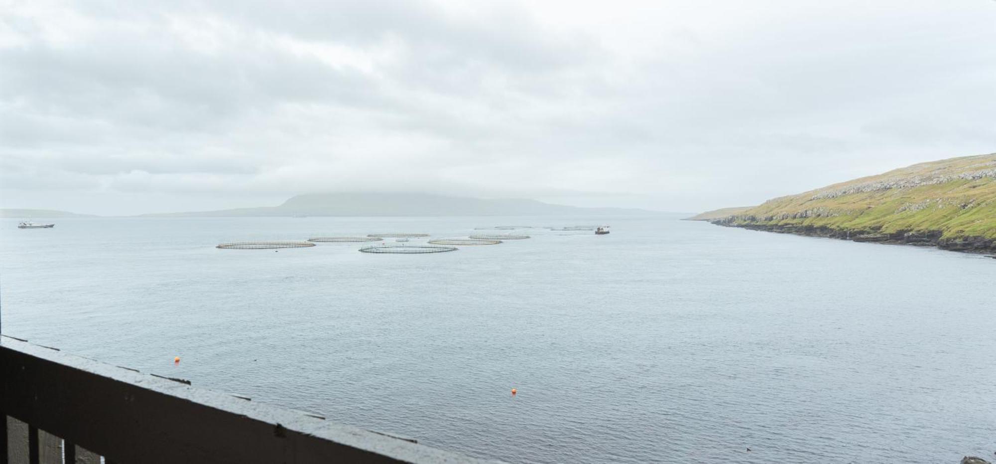 A Tromini Guesthouse Tórshavn Zewnętrze zdjęcie
